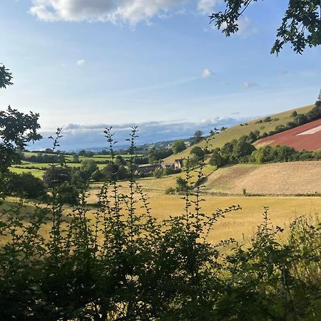 Countryside Converted Barn With Hot Tub Newton Abbot Exterior photo