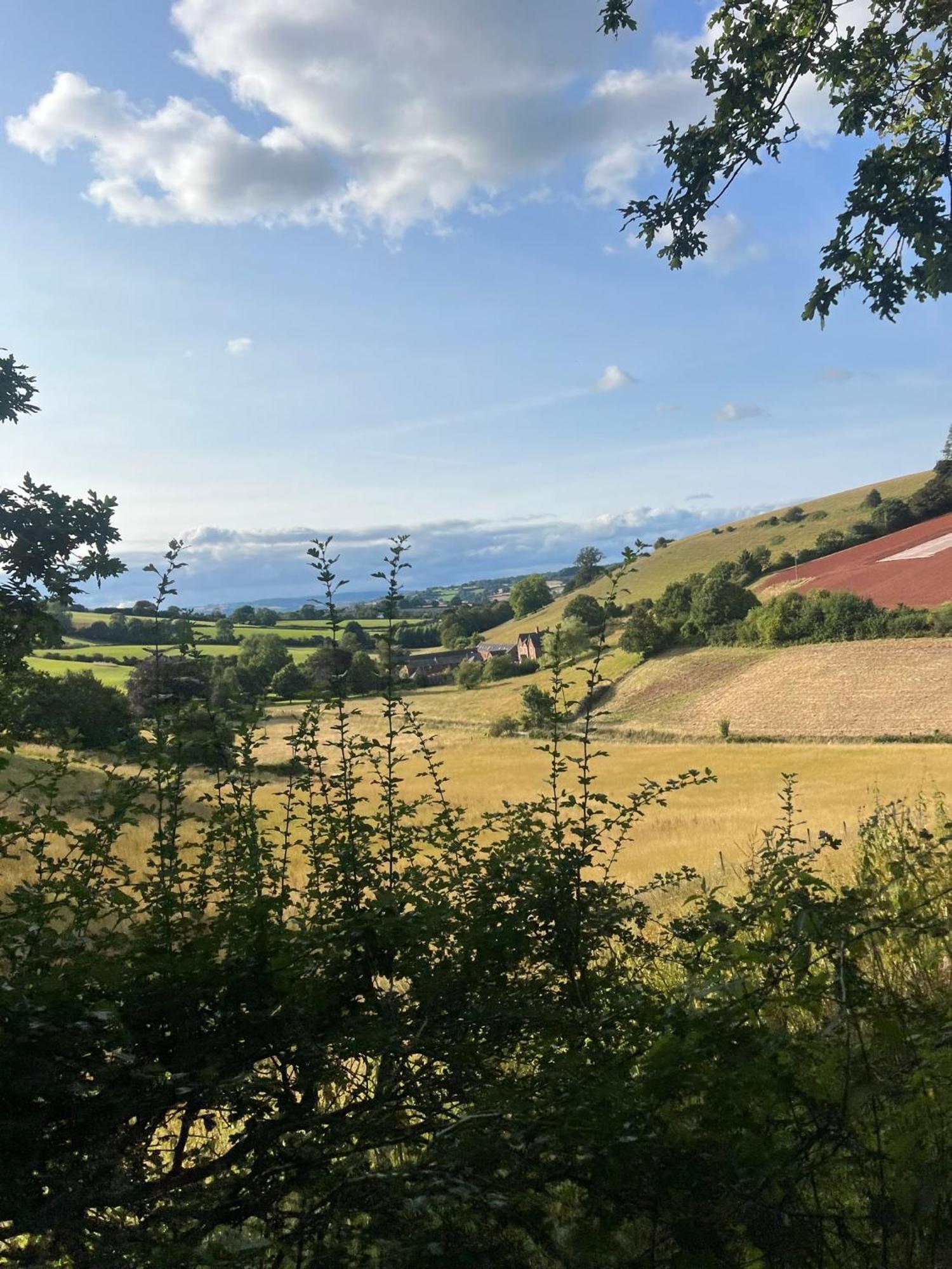 Countryside Converted Barn With Hot Tub Newton Abbot Exterior photo